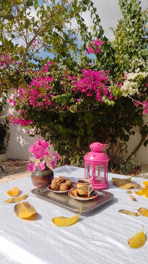 Henchir Ejdoud Guest House Кайроуан Екстериор снимка