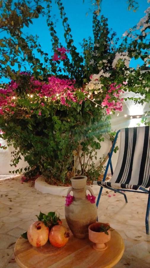 Henchir Ejdoud Guest House Кайроуан Екстериор снимка