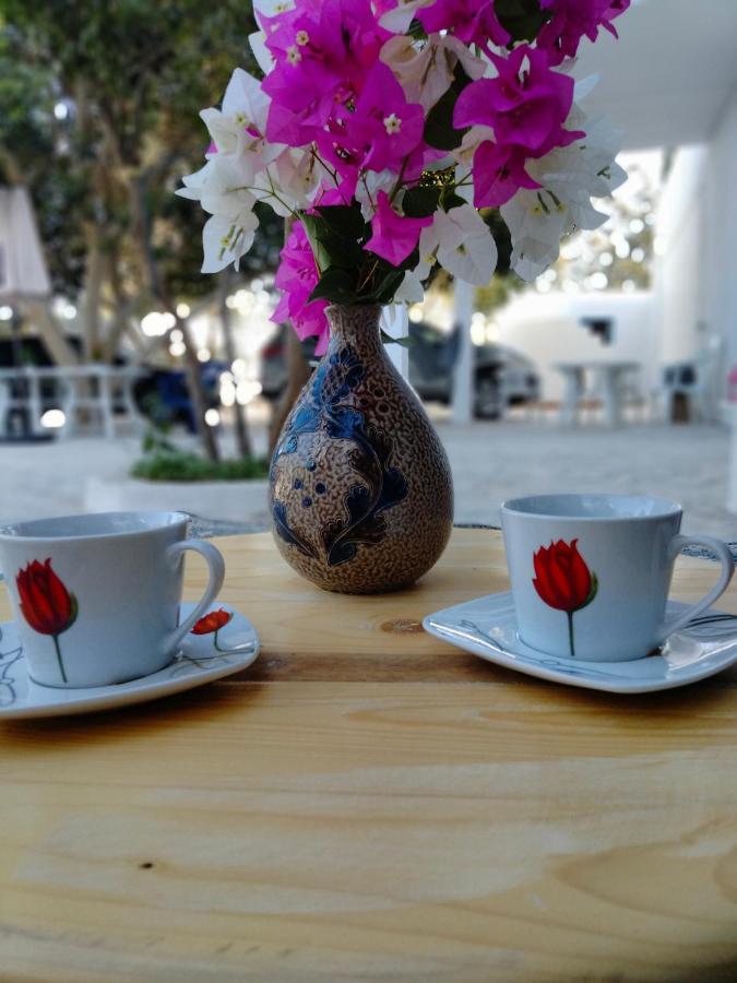 Henchir Ejdoud Guest House Кайроуан Екстериор снимка